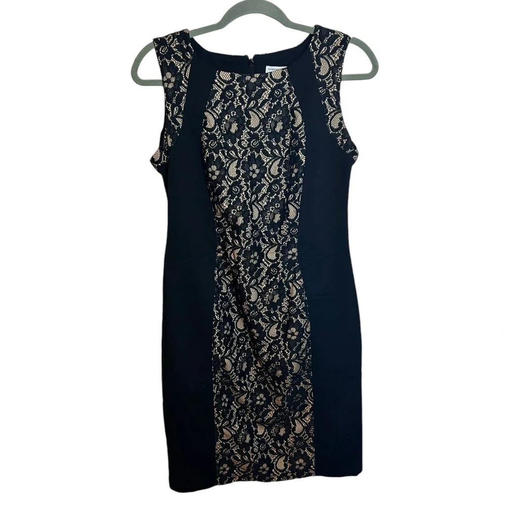 Katherine Barclay Lace Sheath Dress